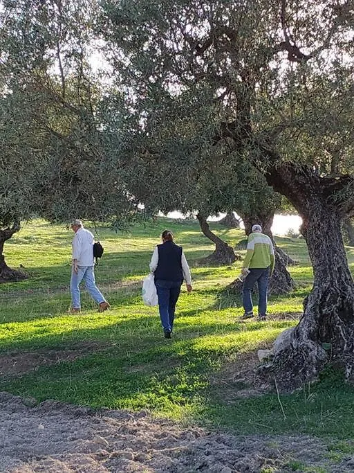 Casa Rural En Montellano